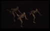 Black Hole Ballet Гладкият танц според астрофизичните нашите тела