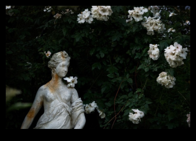 Готически градини: Ботанически изображения в средновековния художествен израз