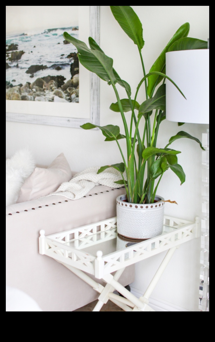 Опростяване на декорирането: Основни съвети и трикове