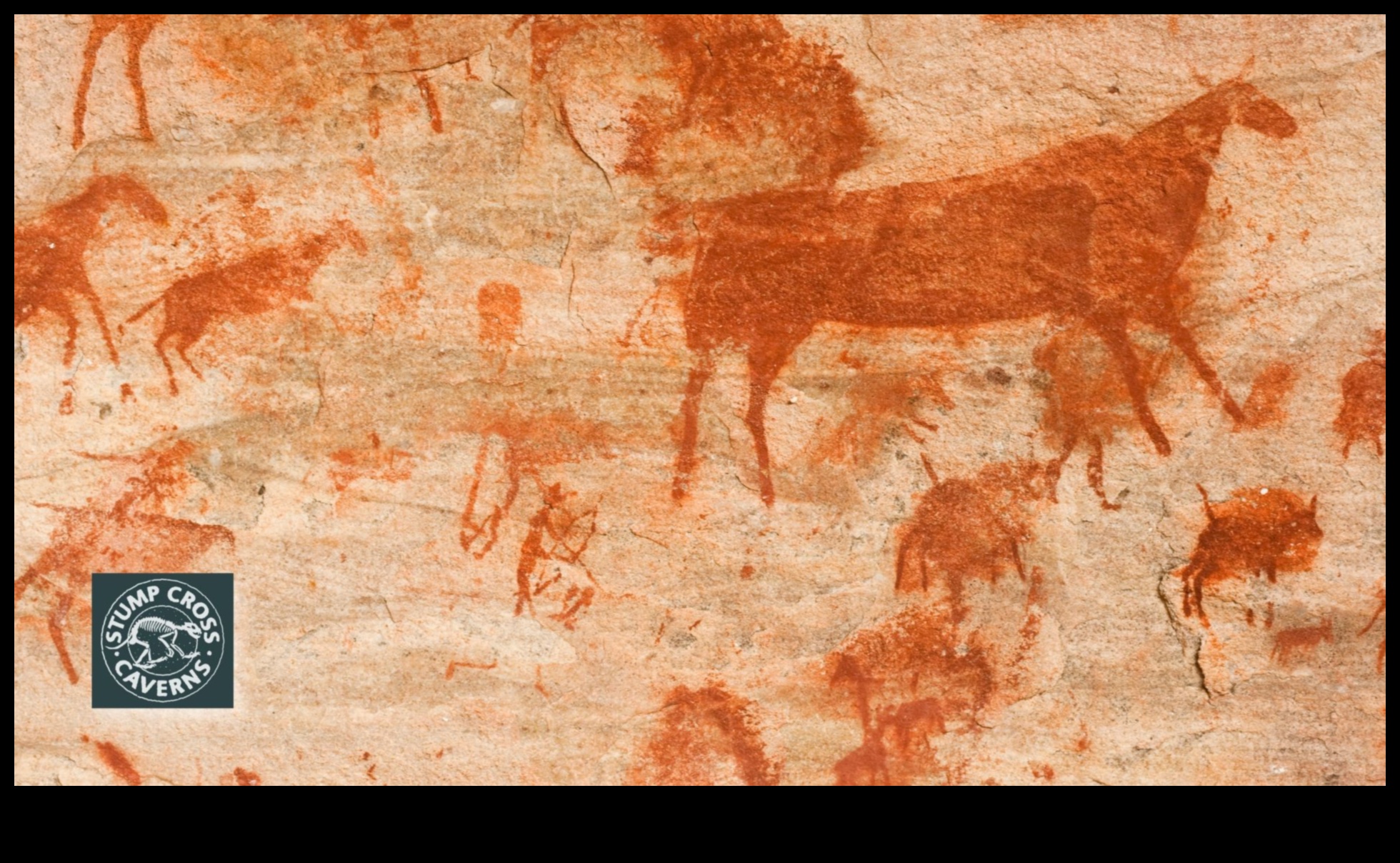 Симфония от каменната ера: Кулинарна ода за палео живота