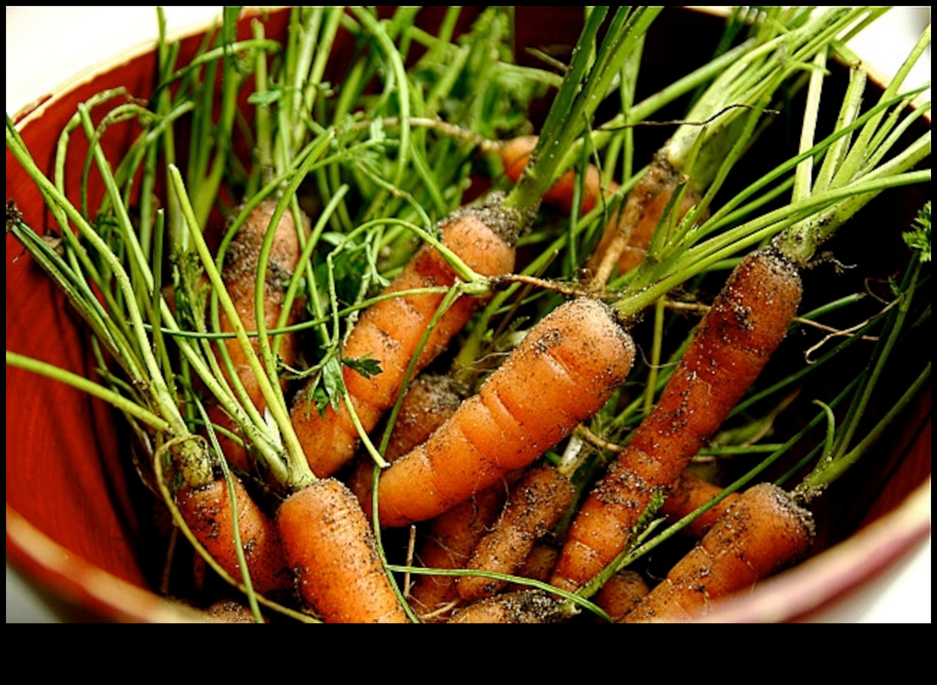 Симфония от каменната ера: Кулинарна ода за палео живота